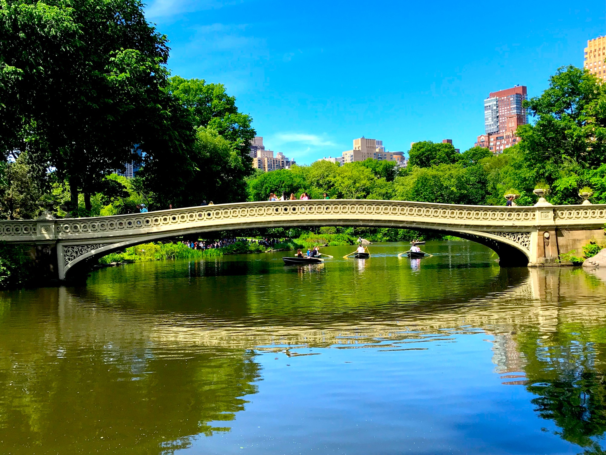 Central Park Bridges