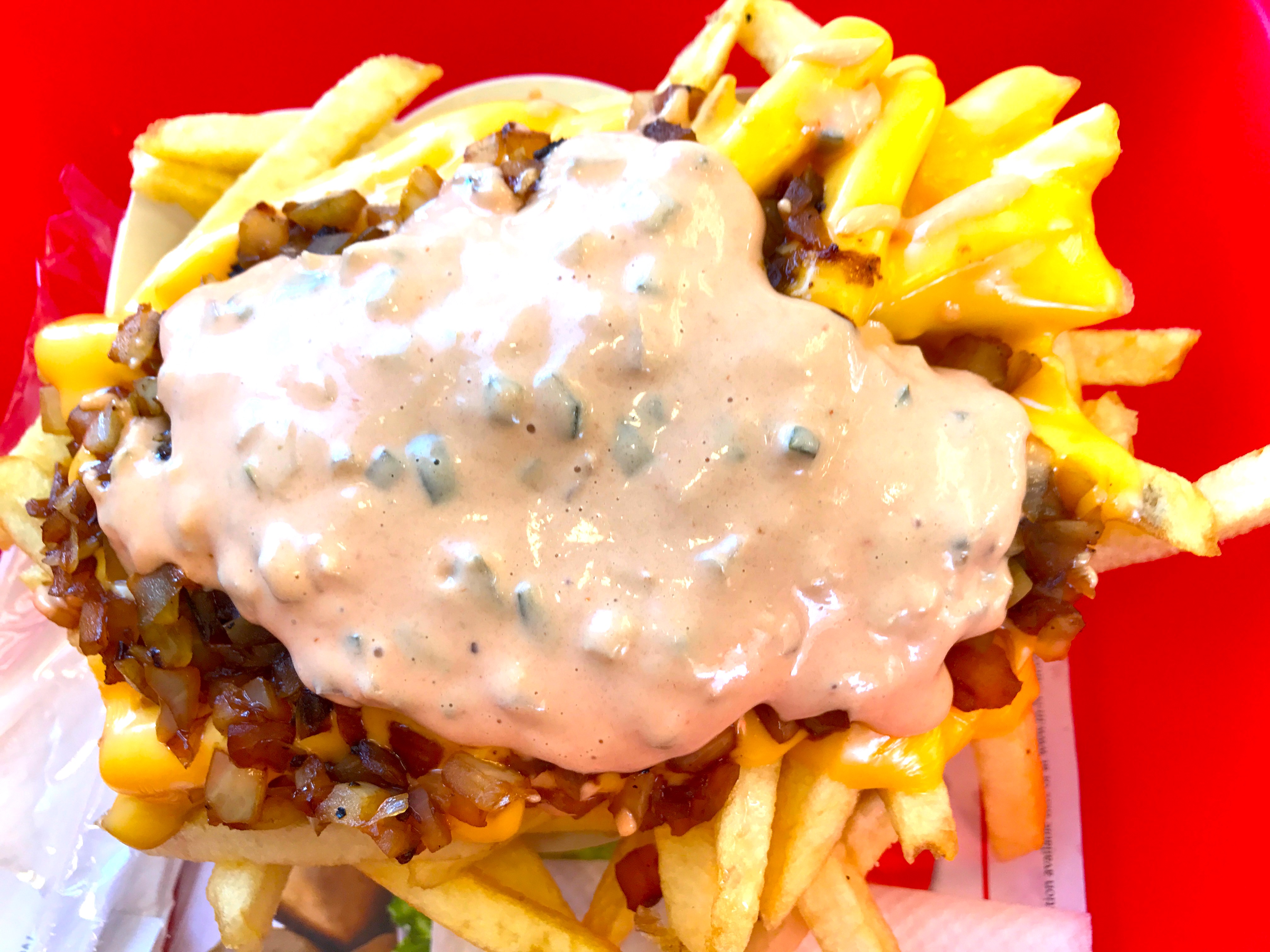 in-n-out animal style french fries – johnrieber
